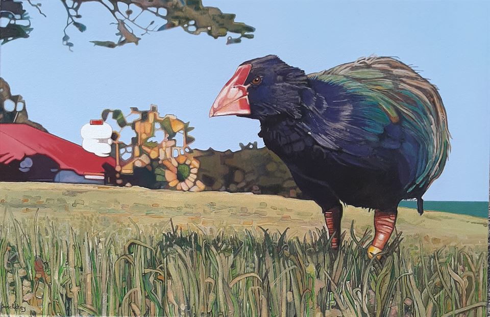 Greg the Giant Takahe