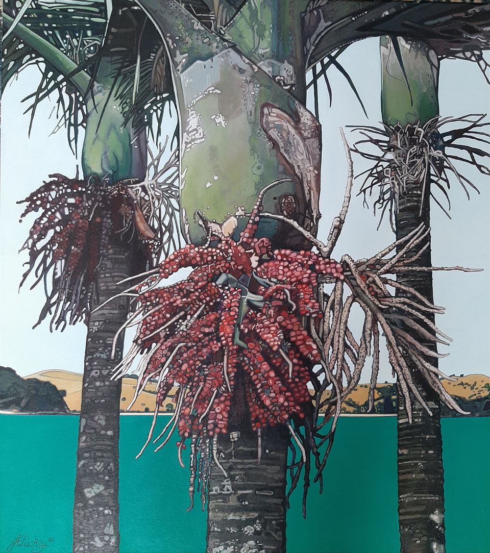 Feast for the Kereru