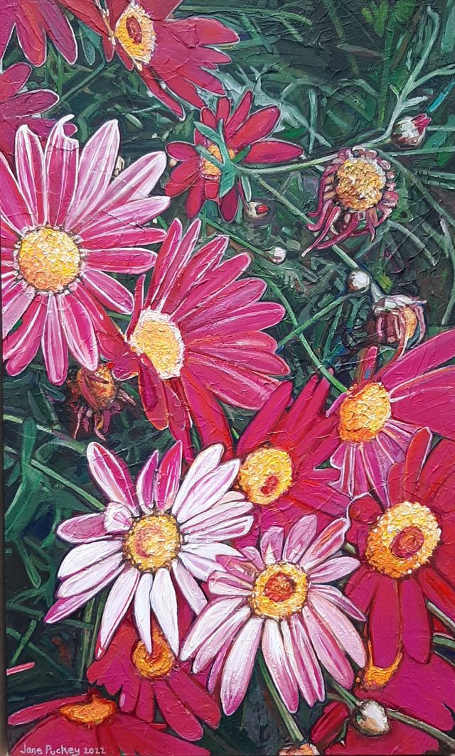 Darling Marguerite 